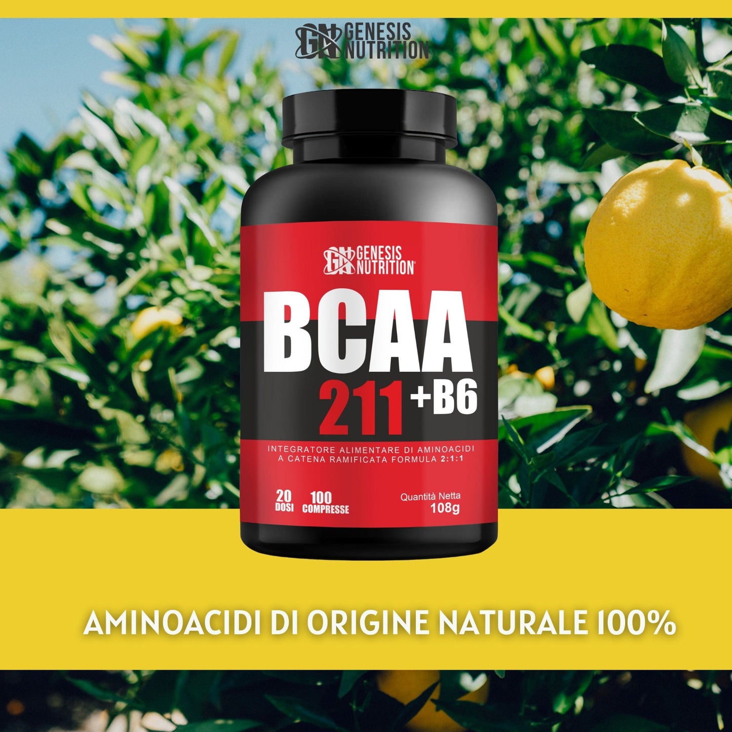 BCAA tablets (Amino acids)