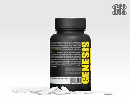 No 3 X Boost| L-Arginina Tribulus Zinco - AMINOACIDI